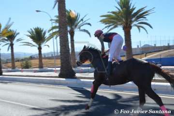 Carreras de caballo de las fiestas de San Juan 2018 de Telde (Foto Francisco Javier Santana)